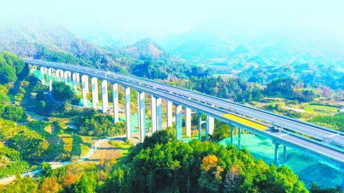 廣西全面實現縣縣通高速，交通網絡邁入新時代
